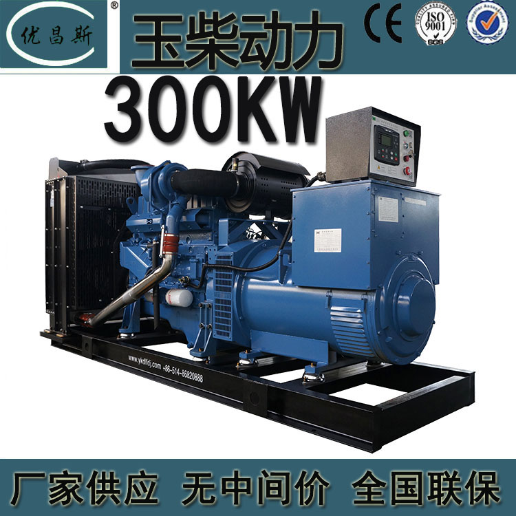 300千瓦玉柴發(fā)電機(jī)組