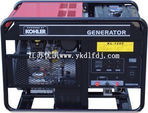 20kw美國(guó)科勒動(dòng)力汽油發(fā)電機(jī)組